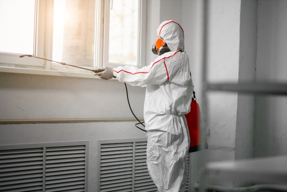 Professional mold remediation services in Dallas, GA